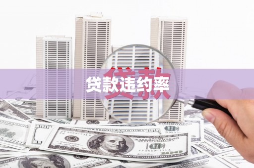 建华贷款违约率