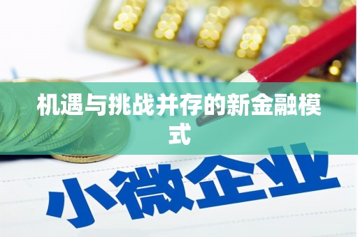 建华机遇与挑战并存的新金融模式