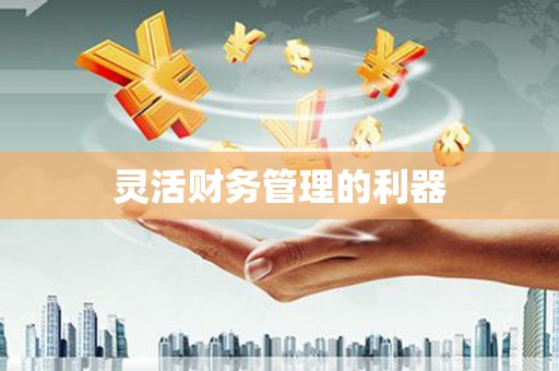 建华灵活财务管理的利器