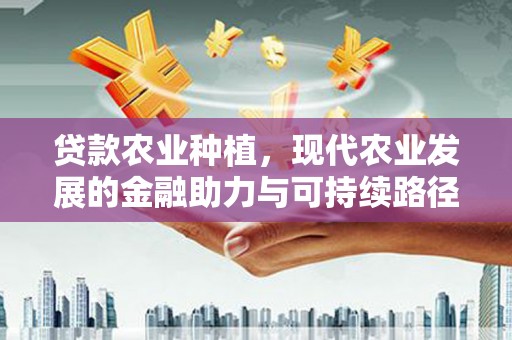 建华贷款农业种植，现代农业发展的金融助力与可持续路径