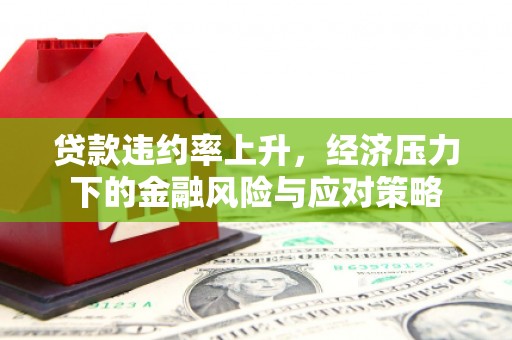 建华贷款违约率上升，经济压力下的金融风险与应对策略