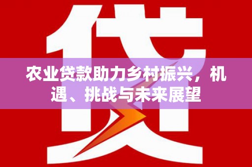 建华农业贷款助力乡村振兴，机遇、挑战与未来展望