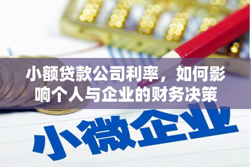 建华小额贷款公司利率，如何影响个人与企业的财务决策