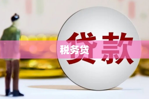 建华税务贷