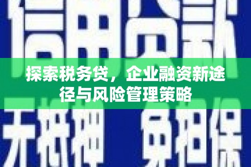 建华探索税务贷，企业融资新途径与风险管理策略