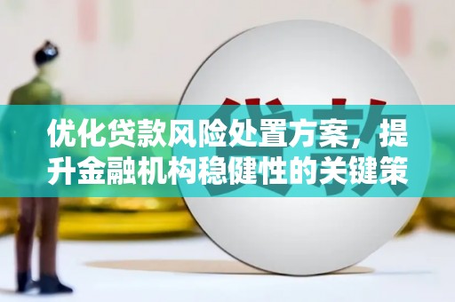 建华优化贷款风险处置方案，提升金融机构稳健性的关键策略