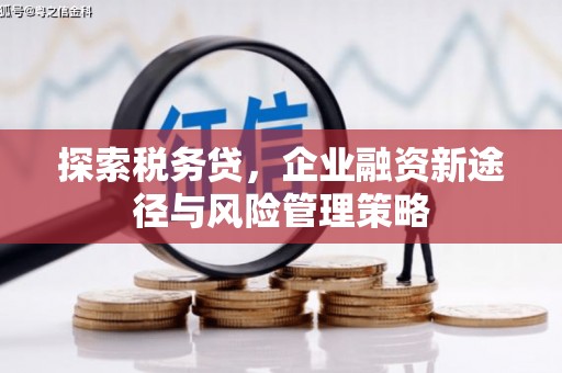 建华探索税务贷，企业融资新途径与风险管理策略