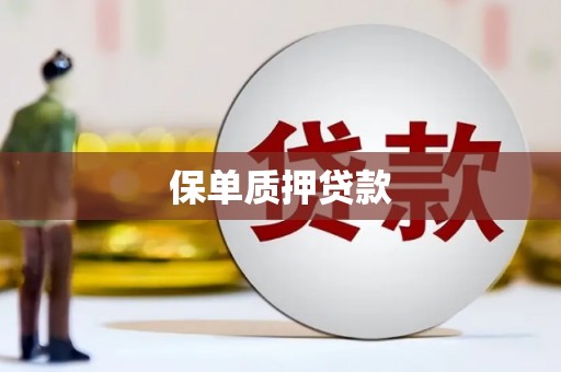 建华保单质押贷款