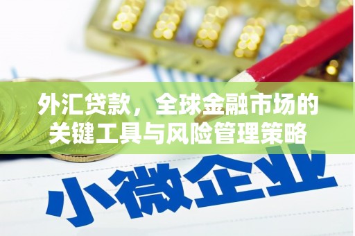 建华外汇贷款，全球金融市场的关键工具与风险管理策略