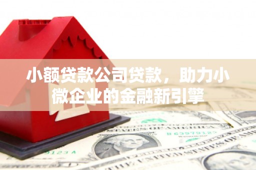 建华小额贷款公司贷款，助力小微企业的金融新引擎