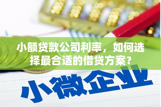 建华小额贷款公司利率，如何选择最合适的借贷方案？