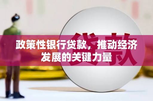建华政策性银行贷款，推动经济发展的关键力量