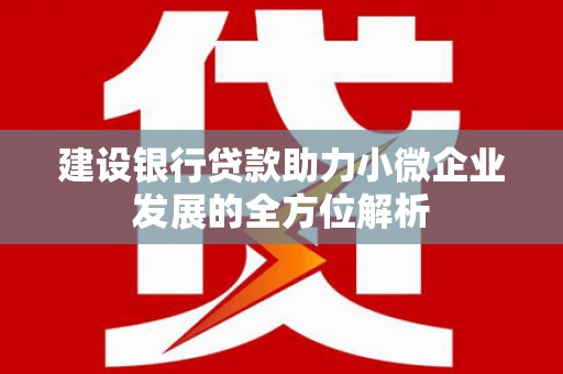 建华建设银行贷款助力小微企业发展的全方位解析
