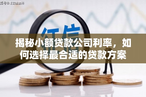 建华揭秘小额贷款公司利率，如何选择最合适的贷款方案