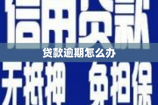 建华贷款逾期怎么办