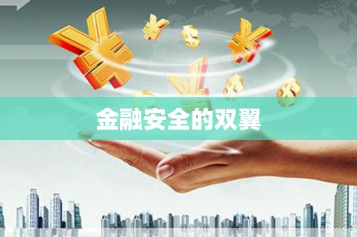 建华金融安全的双翼