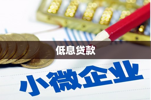 建华低息贷款