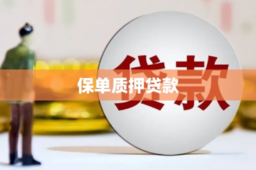 建华保单质押贷款