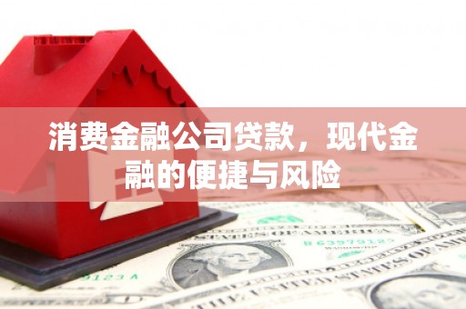 建华消费金融公司贷款，现代金融的便捷与风险