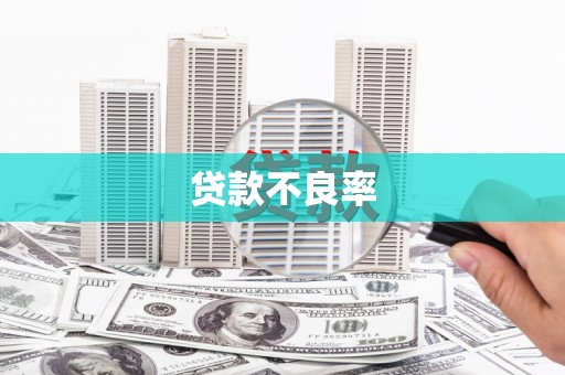 建华贷款不良率