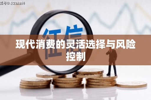 建华现代消费的灵活选择与风险控制
